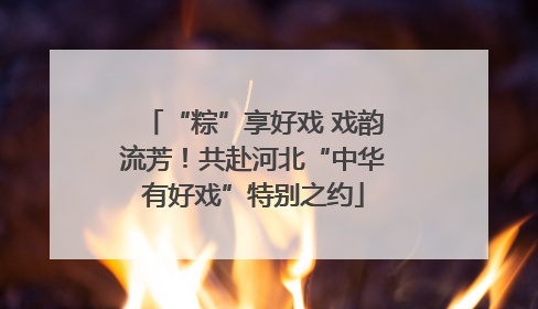 “粽”享好戏 戏韵流芳！共赴河北“中华有好戏”特别之约