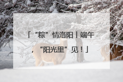 “粽”情洛阳丨端午，“阳光里”见！