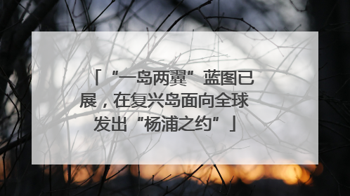 “一岛两翼”蓝图已展，在复兴岛面向全球发出“杨浦之约”