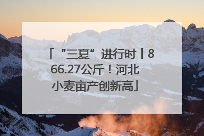 “三夏”进行时丨866.27公斤！河北小麦亩产创新高