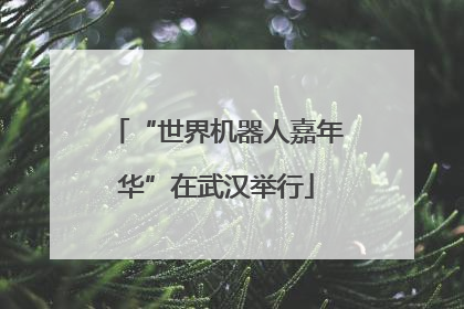 “世界机器人嘉年华”在武汉举行