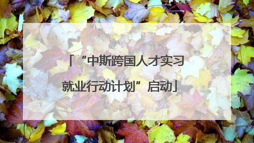 “中斯跨国人才实习就业行动计划”启动