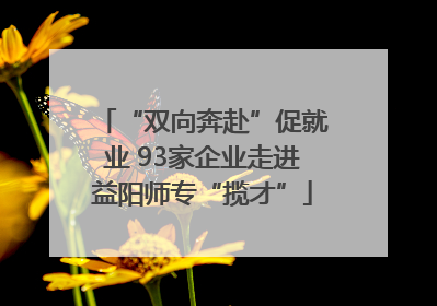“双向奔赴”促就业 93家企业走进益阳师专“揽才”