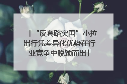 “反套路突围”小拉出行凭差异化优势在行业竞争中脱颖而出