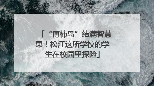“博柿岛”结满智慧果！松江这所学校的学生在校园里探险