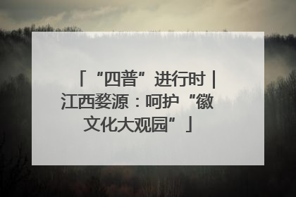 “四普”进行时｜江西婺源：呵护“徽文化大观园”