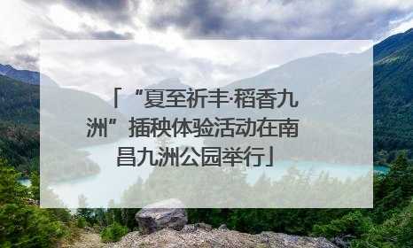 “夏至祈丰·稻香九洲”插秧体验活动在南昌九洲公园举行