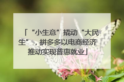“小生意”撬动“大民生”，拼多多以电商经济推动实现普惠就业