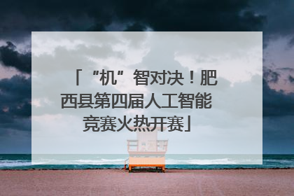 “机”智对决！肥西县第四届人工智能竞赛火热开赛