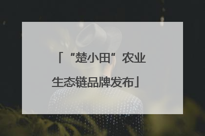 “楚小田”农业生态链品牌发布