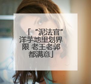 “泥法官”洋芋地里划界限 老王老郭都满意