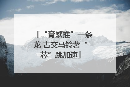 “育繁推”一条龙 古交马铃薯“芯”跳加速