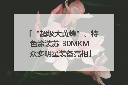 “超级大黄蜂”、特色涂装苏-30MKM 众多明星装备亮相