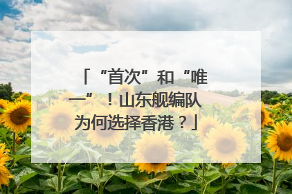 “首次”和“唯一”！山东舰编队为何选择香港？