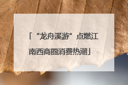 “龙舟溪游”点燃江南西商圈消费热潮