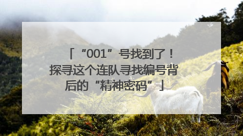“001”号找到了！探寻这个连队寻找编号背后的“精神密码”