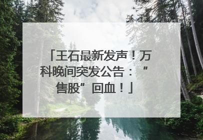王石最新发声！万科晚间突发公告：“售股”回血！