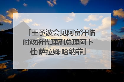 王予波会见阿富汗临时政府代理副总理阿卜杜·萨拉姆·哈纳菲