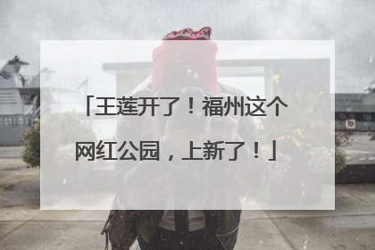 王莲开了！福州这个网红公园，上新了！