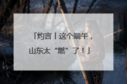 灼言丨这个端午，山东太“燃”了！