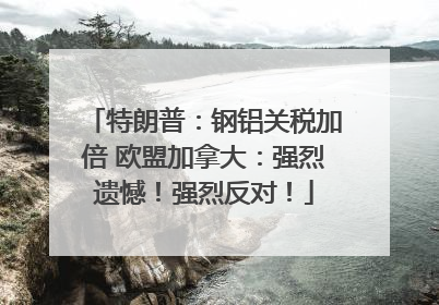 特朗普：钢铝关税加倍 欧盟加拿大：强烈遗憾！强烈反对！