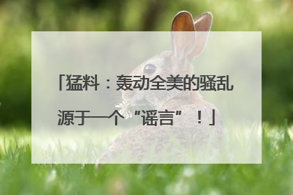 猛料：轰动全美的骚乱源于一个“谣言”！