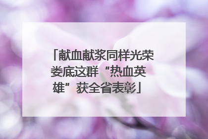 献血献浆同样光荣 娄底这群“热血英雄”获全省表彰