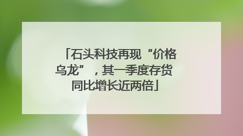 石头科技再现“价格乌龙”，其一季度存货同比增长近两倍