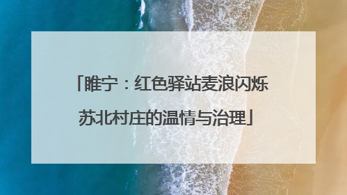 睢宁：红色驿站麦浪闪烁 苏北村庄的温情与治理