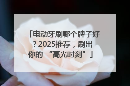 电动牙刷哪个牌子好？2025推荐，刷出你的 “高光时刻”