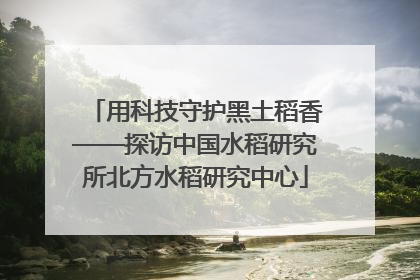 用科技守护黑土稻香——探访中国水稻研究所北方水稻研究中心
