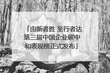 由新者胜 至行者达 第三届中国企业碳中和表现榜正式发布