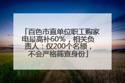 百色市直单位职工购家电最高补60％，相关负责人：仅200个名额，不会严格筛查身份