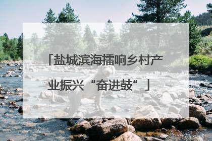 盐城滨海擂响乡村产业振兴“奋进鼓”