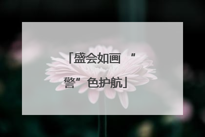 盛会如画 “警”色护航