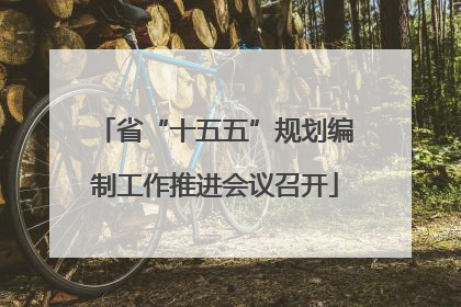 省“十五五”规划编制工作推进会议召开