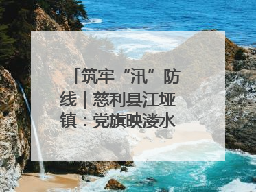筑牢“汛”防线｜慈利县江垭镇：党旗映溇水 清淤见担当