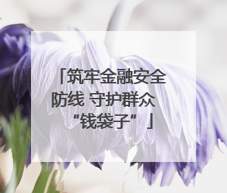 筑牢金融安全防线 守护群众“钱袋子”