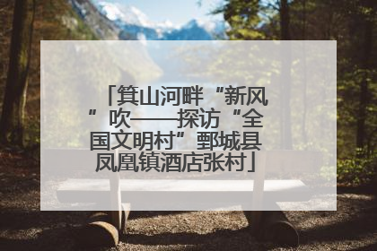 箕山河畔“新风”吹——探访“全国文明村”鄄城县凤凰镇酒店张村