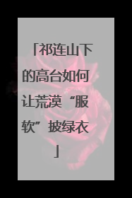 祁连山下的高台如何让荒漠“服软”披绿衣