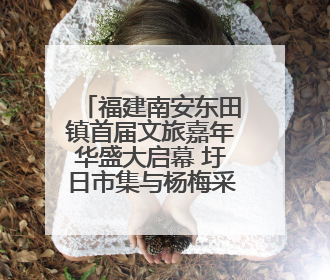 福建南安东田镇首届文旅嘉年华盛大启幕 圩日市集与杨梅采摘点燃乡村振兴新动能