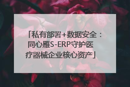 私有部署+数据安全：同心雁S-ERP守护医疗器械企业核心资产