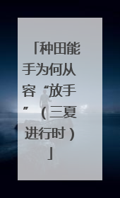 种田能手为何从容“放手”（三夏进行时）