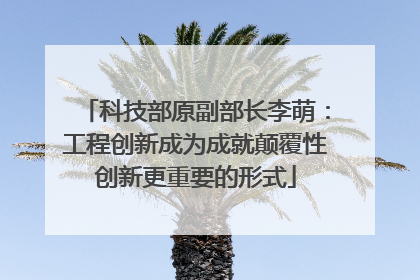 科技部原副部长李萌：工程创新成为成就颠覆性创新更重要的形式