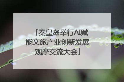 秦皇岛举行AI赋能文旅产业创新发展观摩交流大会