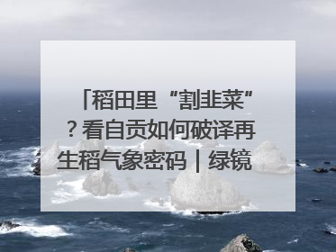 稻田里“割韭菜”？看自贡如何破译再生稻气象密码｜绿镜头·发现中国