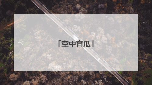 空中育瓜