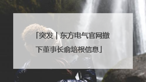 突发｜东方电气官网撤下董事长俞培根信息