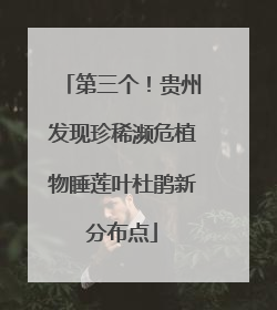 第三个！贵州发现珍稀濒危植物睡莲叶杜鹃新分布点
