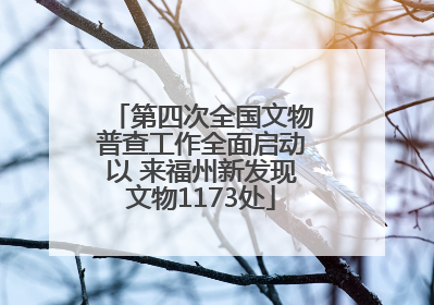 第四次全国文物普查工作全面启动以 来福州新发现文物1173处